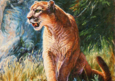 Blue Canyon Cougar