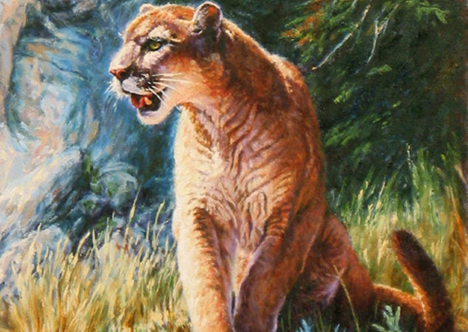 Blue Canyon Cougar